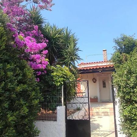 Olive Grove Cottage Skalani Knosos Bagian luar foto