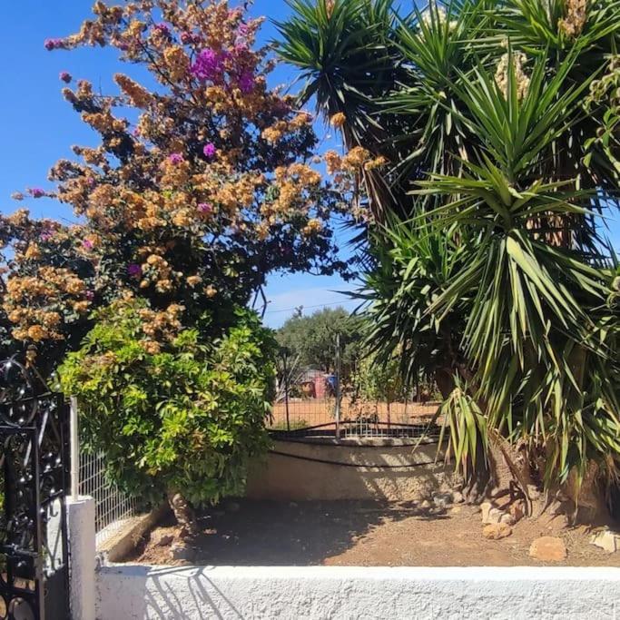Olive Grove Cottage Skalani Knosos Bagian luar foto