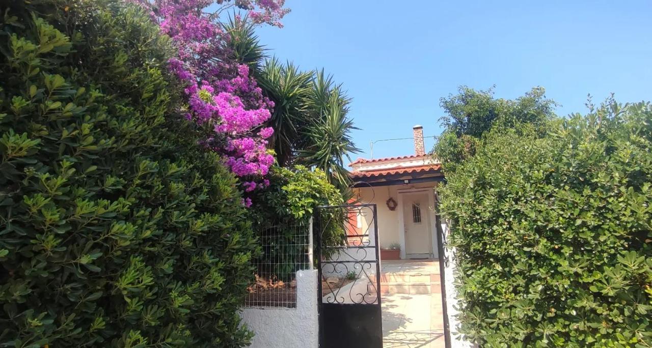 Olive Grove Cottage Skalani Knosos Bagian luar foto