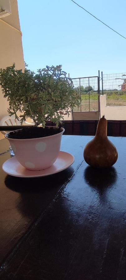 Olive Grove Cottage Skalani Knosos Bagian luar foto